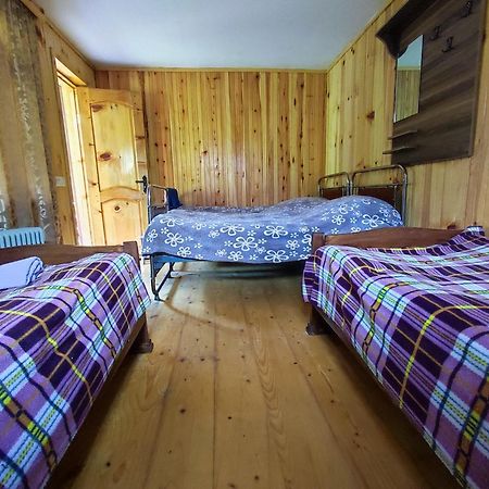 Adishi Guest House Zhora Kaldani 외부 사진