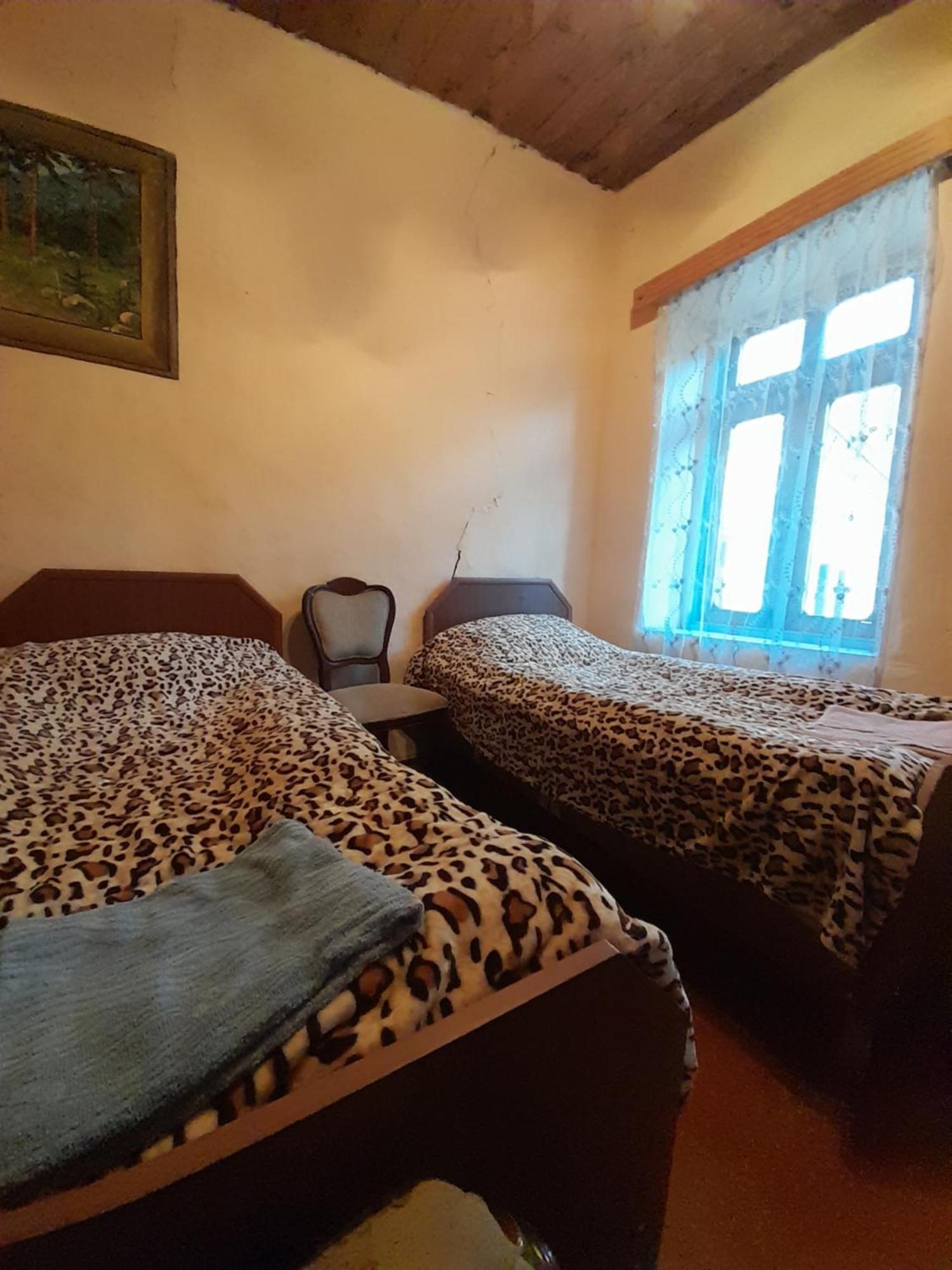 Adishi Guest House Zhora Kaldani 외부 사진