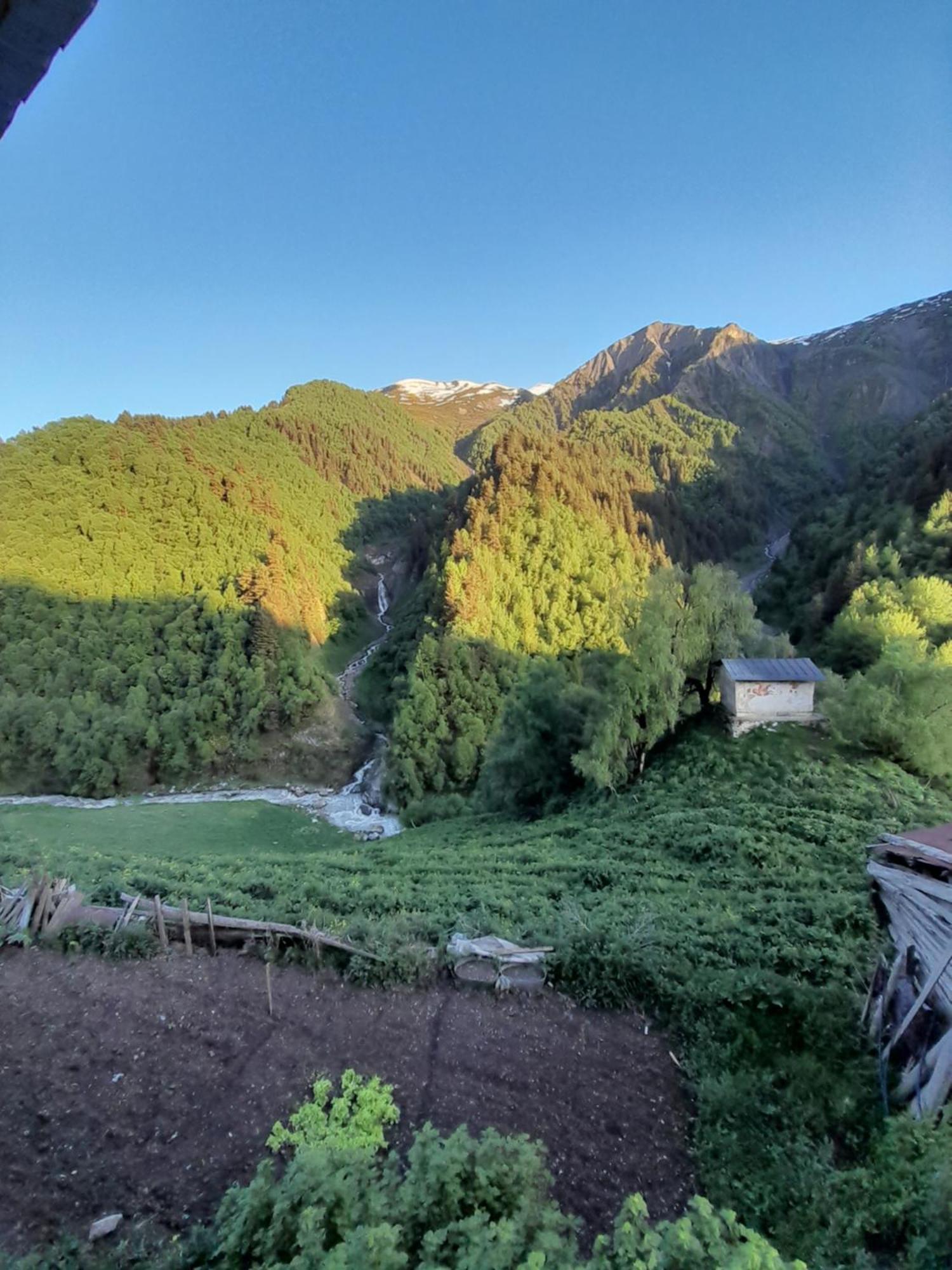 Adishi Guest House Zhora Kaldani 외부 사진