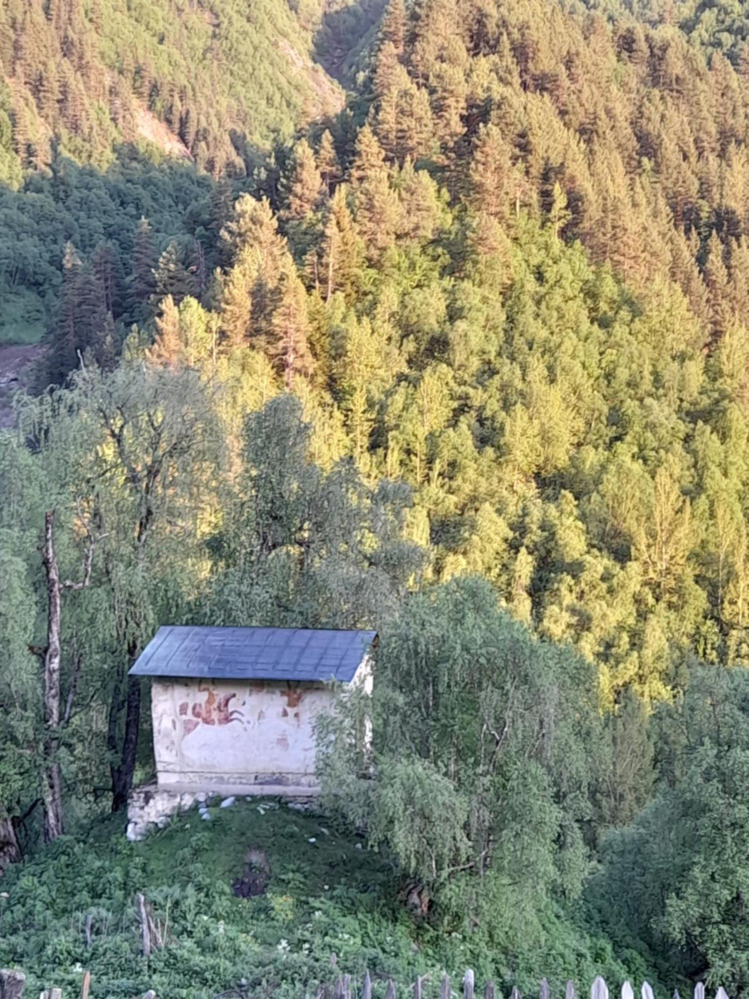 Adishi Guest House Zhora Kaldani 외부 사진